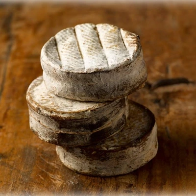 Sanglé des Bruyères